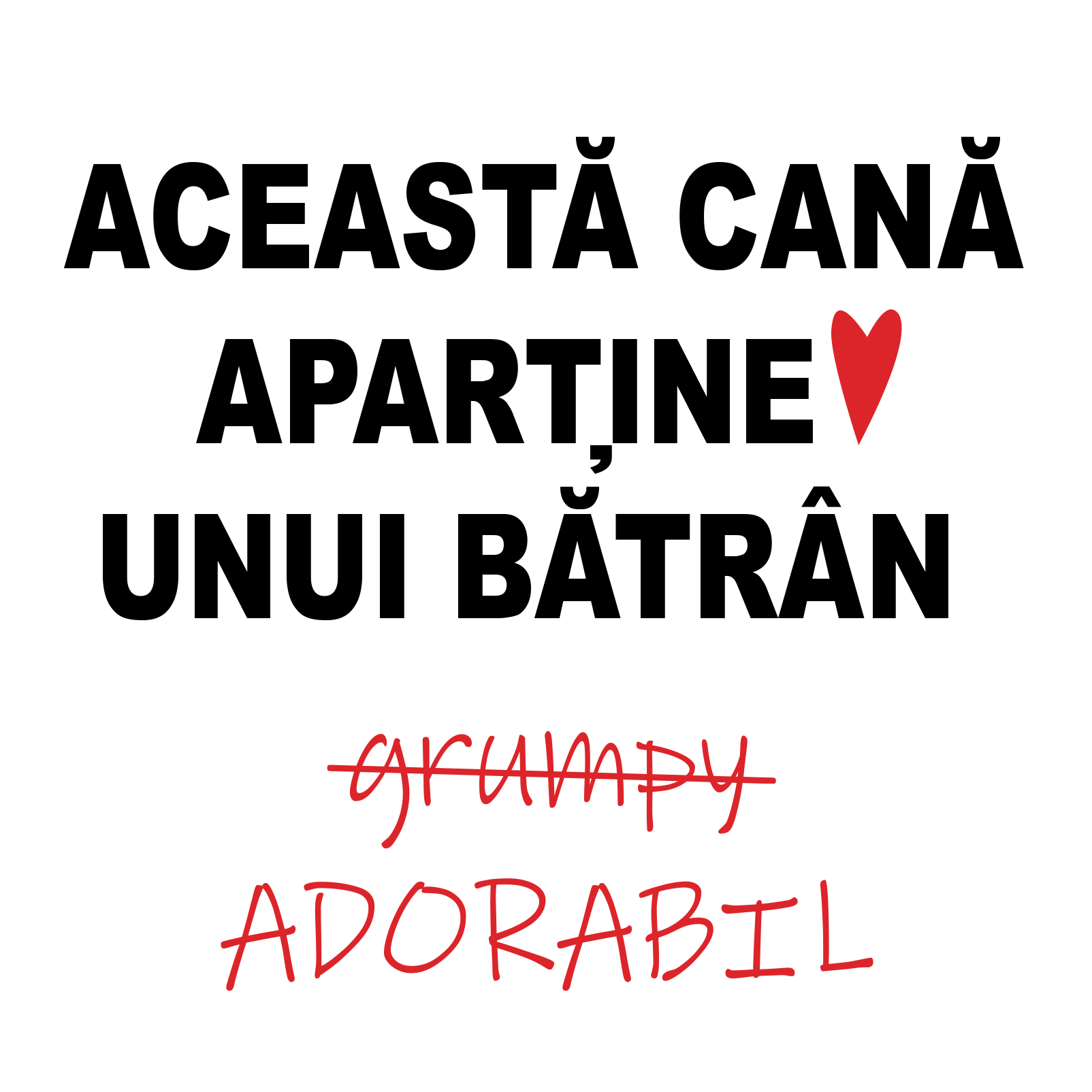 Aceasta cana - ROMAN.webp